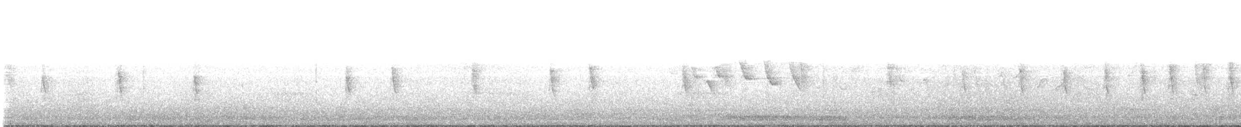 gulparula (petechia gr.) - ML55150711