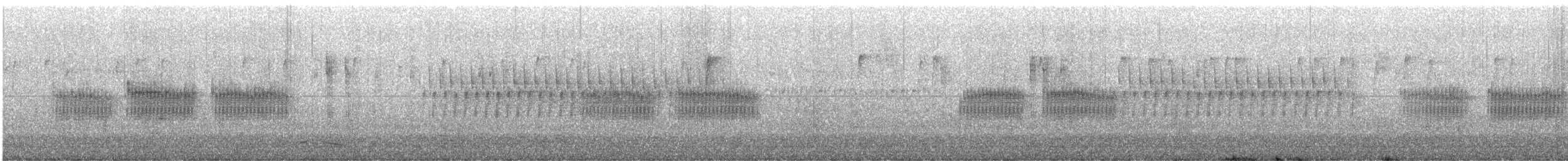 ウスヒメドリ - ML551533411