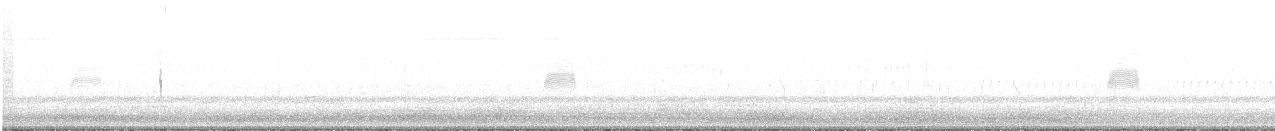 American Woodcock - ML551598051