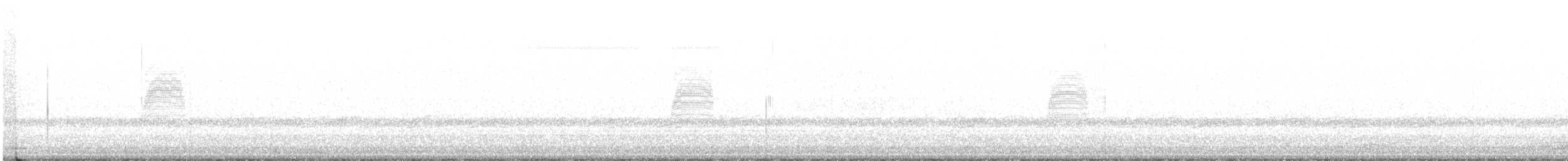 American Woodcock - ML551598091