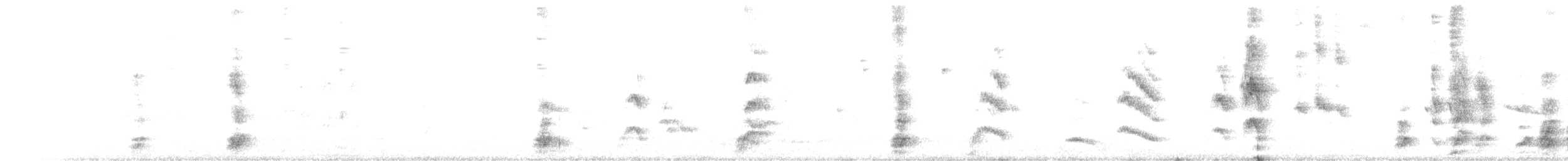 Kara Gagalı Saksağan - ML551611881
