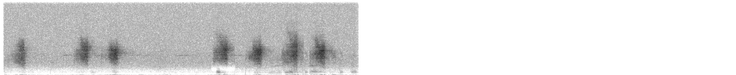 Méliphage à lunule - ML55161561