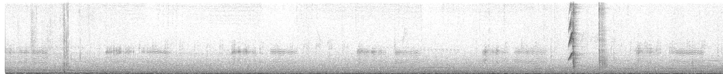 Lewin's Rail - ML551628731