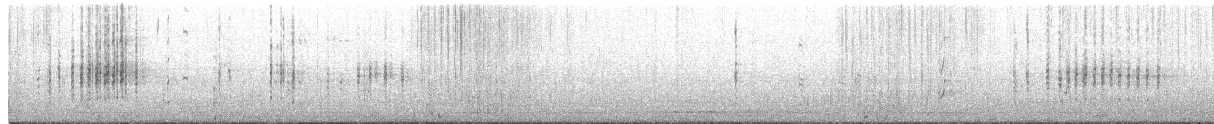 Australasian Grebe - ML551628751
