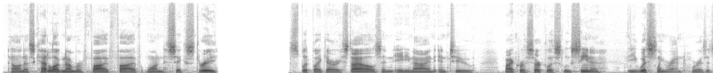 Troglodyte siffleur (luscinia) - ML55163