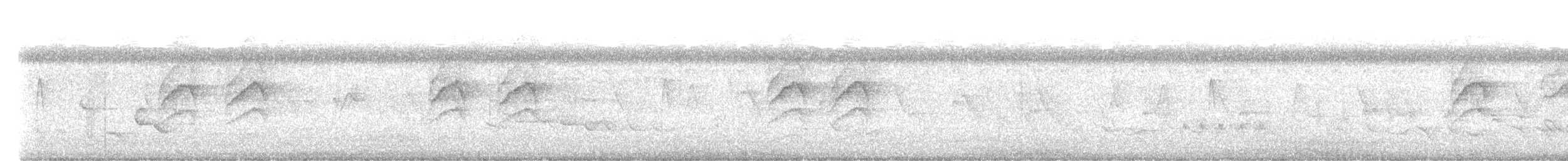 Зондский острокрылый дятел - ML551655031