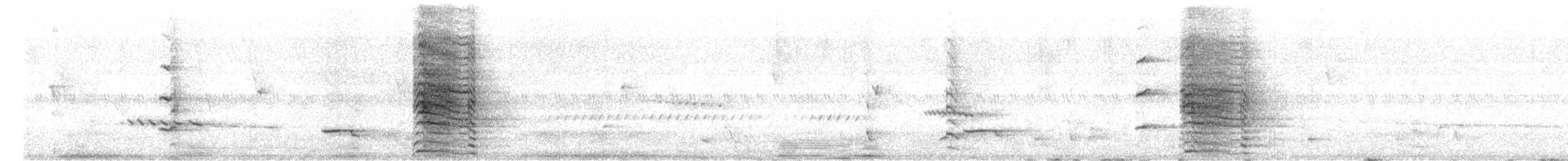 Гологлазый какаду - ML551655251