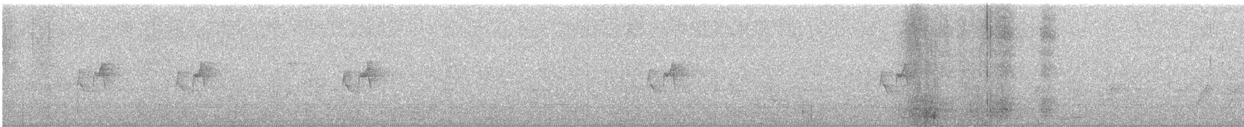 Hume txioa - ML551679911
