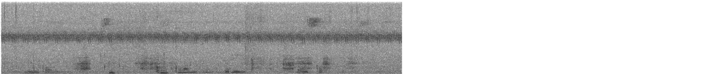 Turdidoa sp. - ML551690581