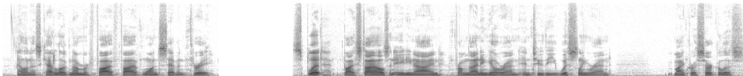 Troglodyte siffleur (luscinia) - ML55173