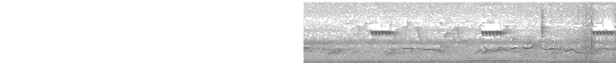 褐林鴞 - ML551751711