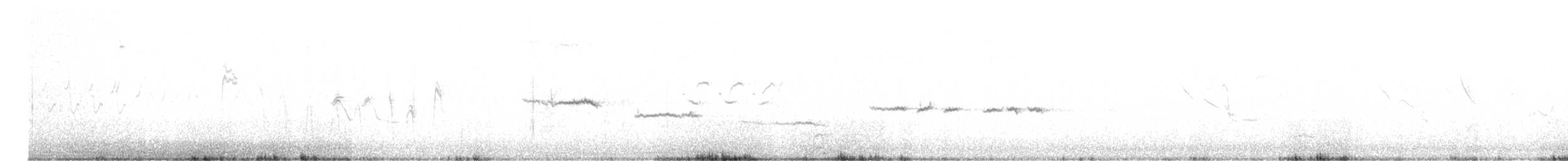 White-throated Sparrow - ML551795281