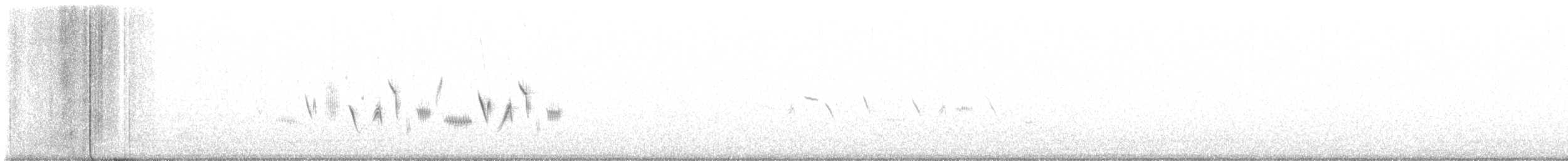 クロフヒメドリ（canescens） - ML551888401