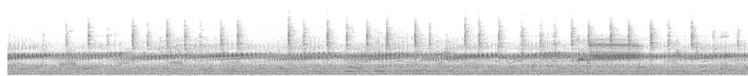 Troglodyte des marais - ML551935261