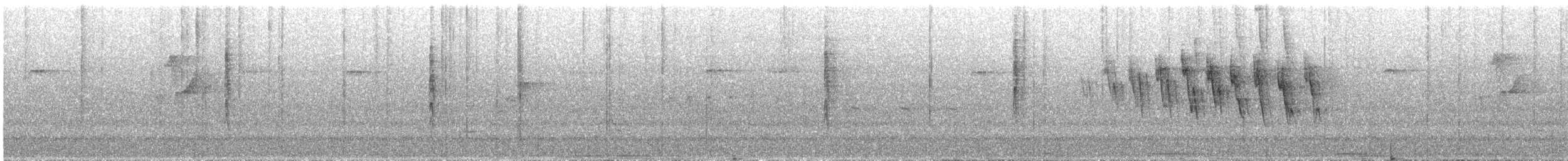 Wilson's Warbler - ML551953521