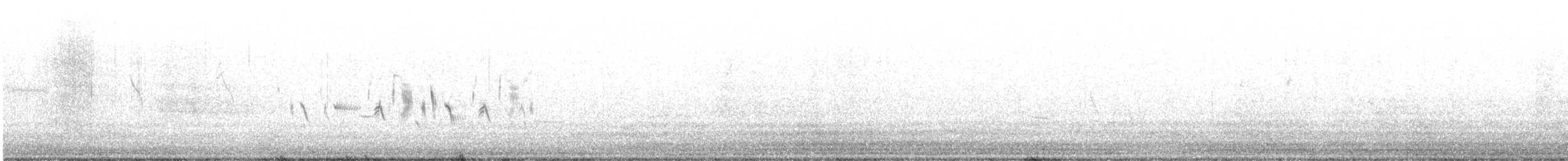 Bruant de Bell (canescens) - ML552007501
