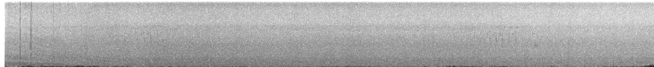 ハシナガヌマミソサザイ - ML552033521