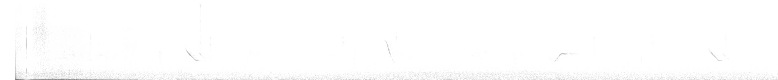 Длинноклювый конёк - ML552034011