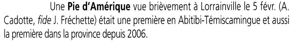 straka americká - ML552098421