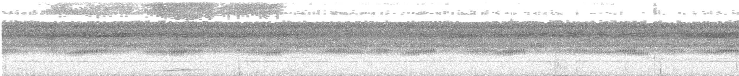 Puntarenas Screech-Owl (undescribed form) - ML552114521