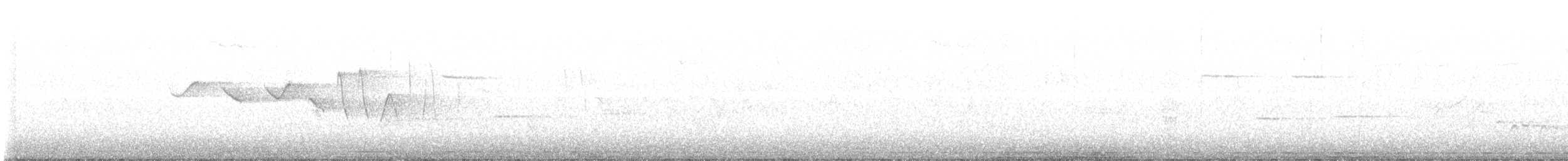 Louisiana Waterthrush - ML552116481