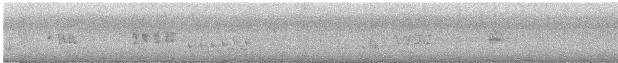 Пронурок сірий - ML552167451