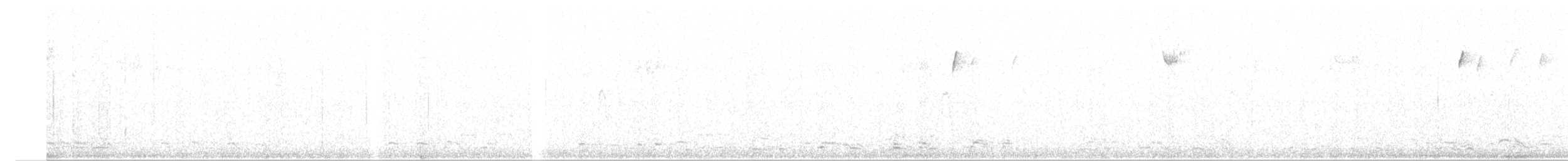 אווז לבן-מצח - ML552171971