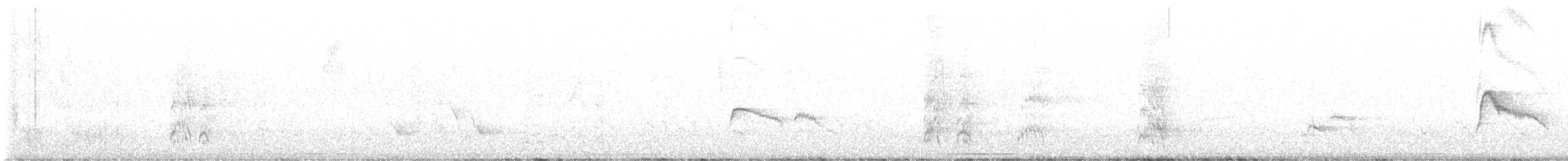 Élénie siffleuse - ML552236341
