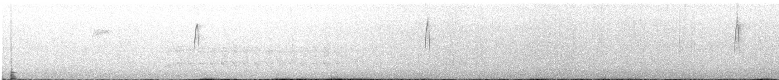 Waldschnepfe - ML552257441