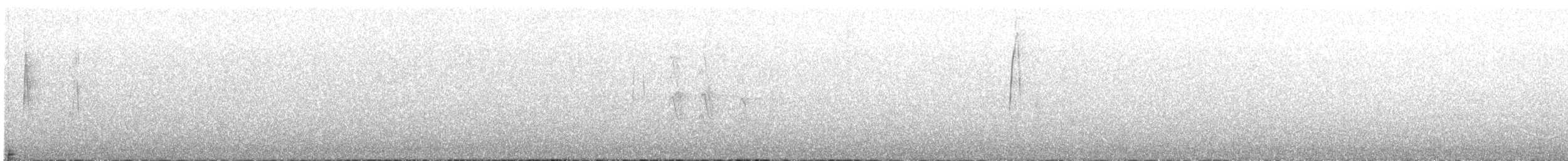 Waldschnepfe - ML552257471
