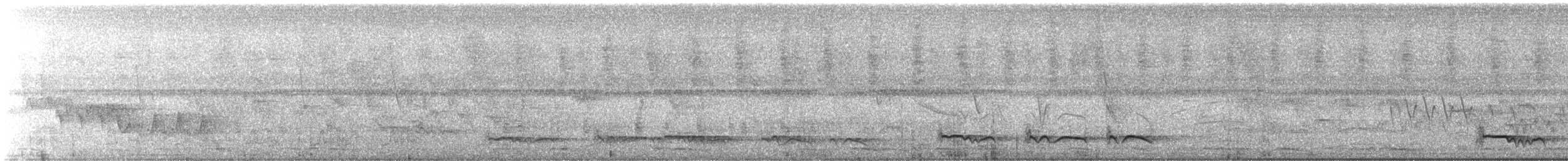 Лінивка-смугохвіст плямистобока (підвид maculatus) - ML552267941
