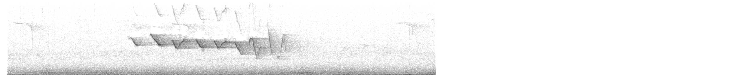 Трясогузковый певун - ML552297711
