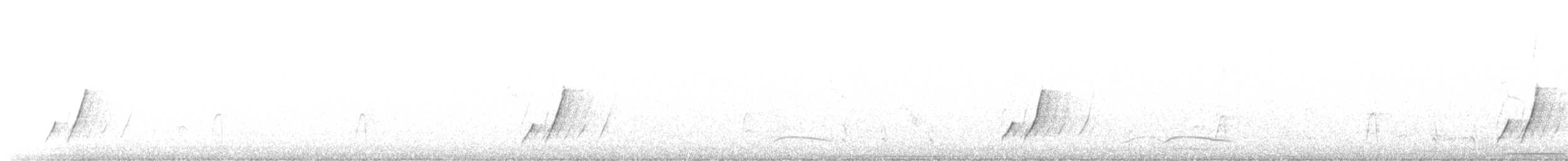 Кривоклювый пересмешник - ML552336921