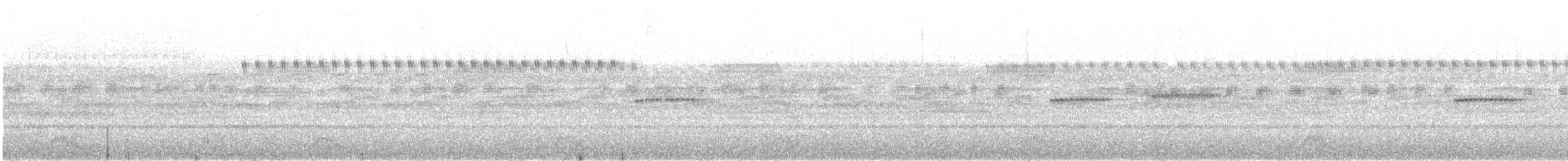 Yucatánnachtschwalbe - ML552352661
