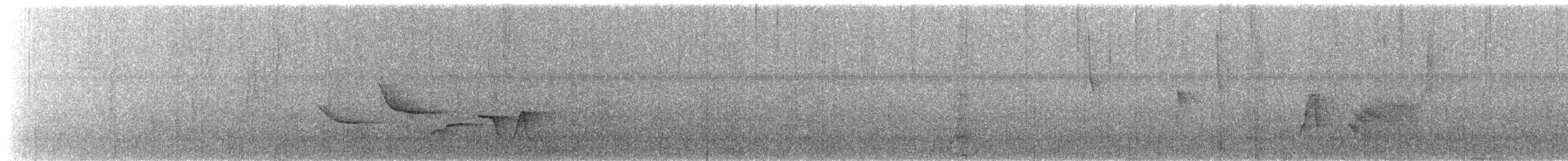 Поплітник плямистий - ML552370511