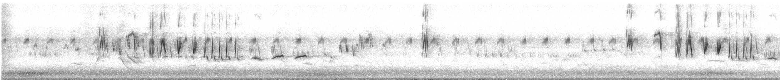Singing Bushlark (Australasian) - ML552378901