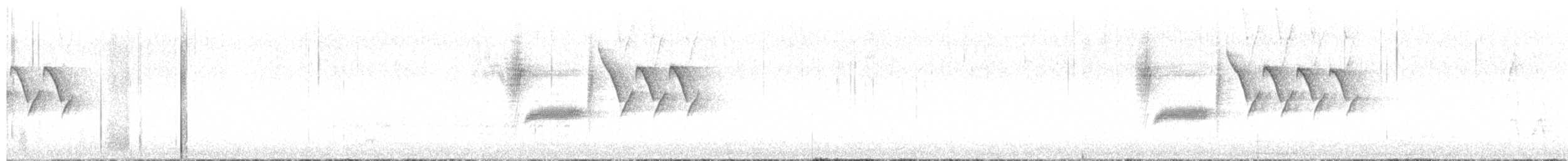 Bewick's Wren - ML552413541