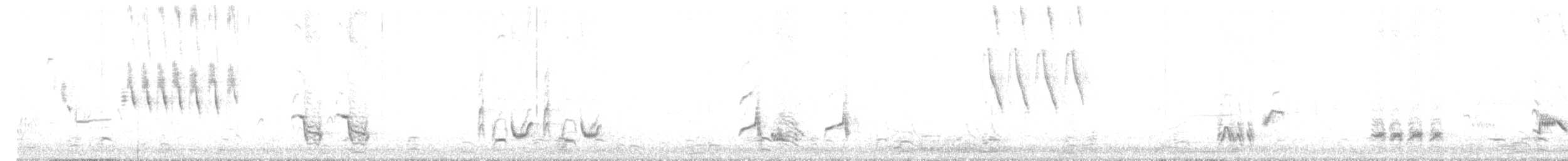 Rotspottdrossel - ML55242401