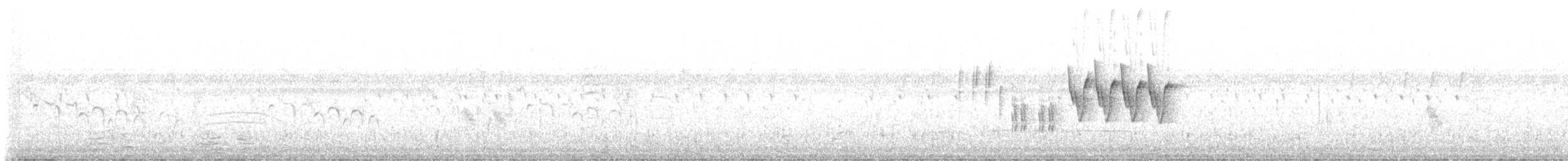 Охотский сверчок - ML552445381