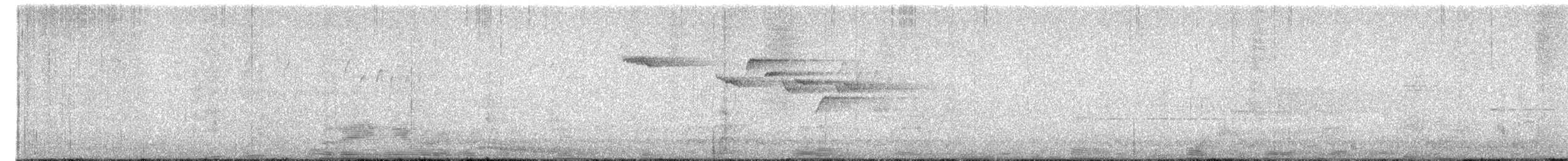 Brown Creeper - ML552461671