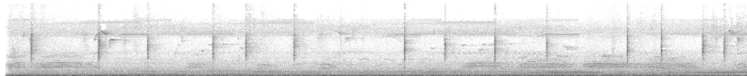 Australian Reed Warbler - ML552467001