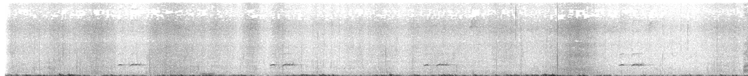 Chami Antpitta - ML552485221