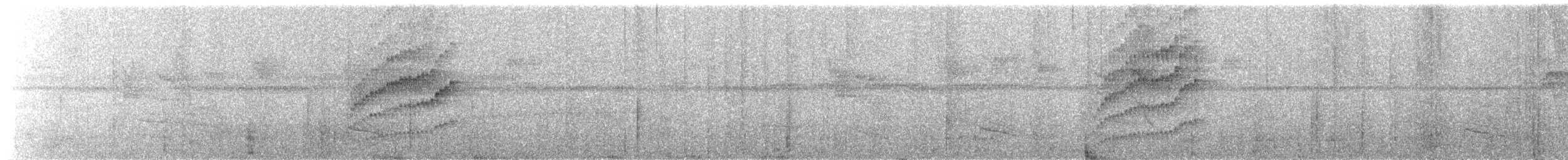 Бор шувууны багын тодорхойгүй зүйл - ML552504021