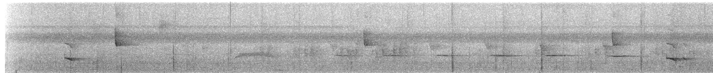Бор шувууны багын тодорхойгүй зүйл - ML552504131