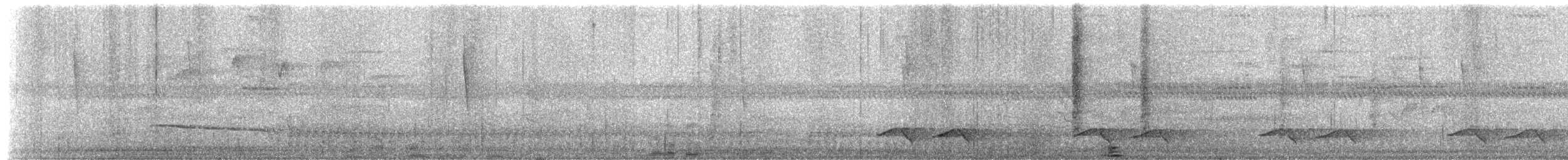 Бор шувууны багын тодорхойгүй зүйл - ML552505031