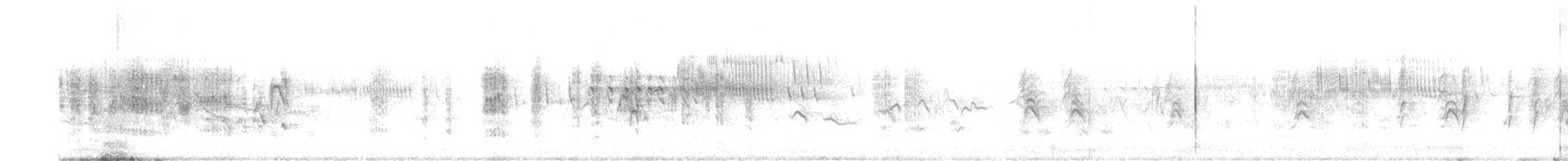 Sedge Warbler - ML552514721