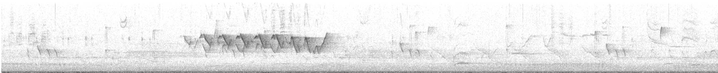 Yellow-throated Warbler - ML552516161