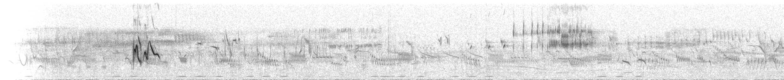 חצוצרן חרמון (מזרח תיכוני) - ML552540831