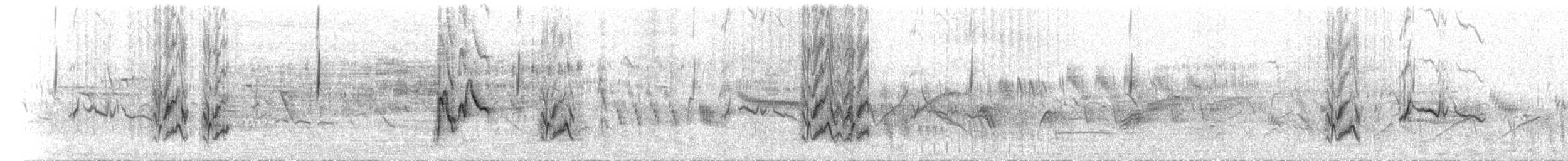 חצוצרן חרמון (מזרח תיכוני) - ML552540861