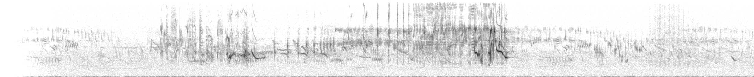 חצוצרן חרמון (מזרח תיכוני) - ML552540931